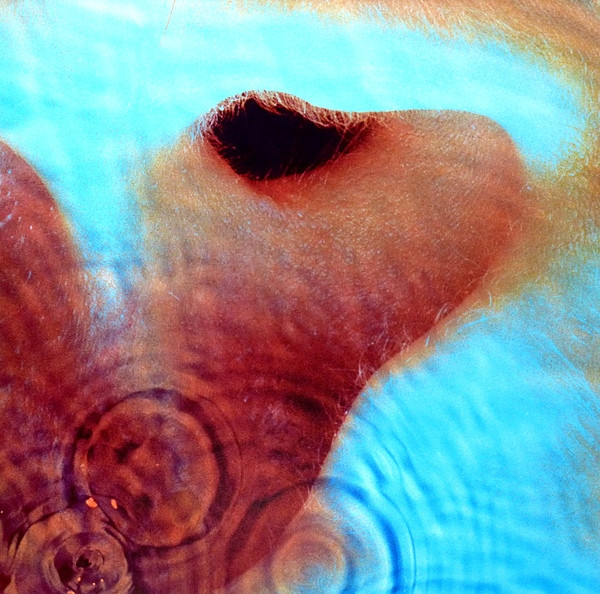 [D9063908] Pink Floyd – Meddle
